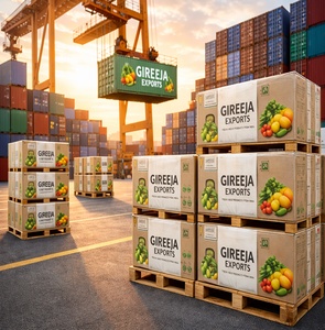gireeja exports same size